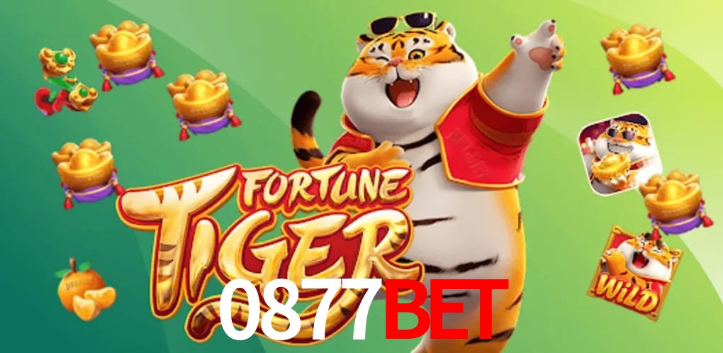 Experiência VIP 0877bet